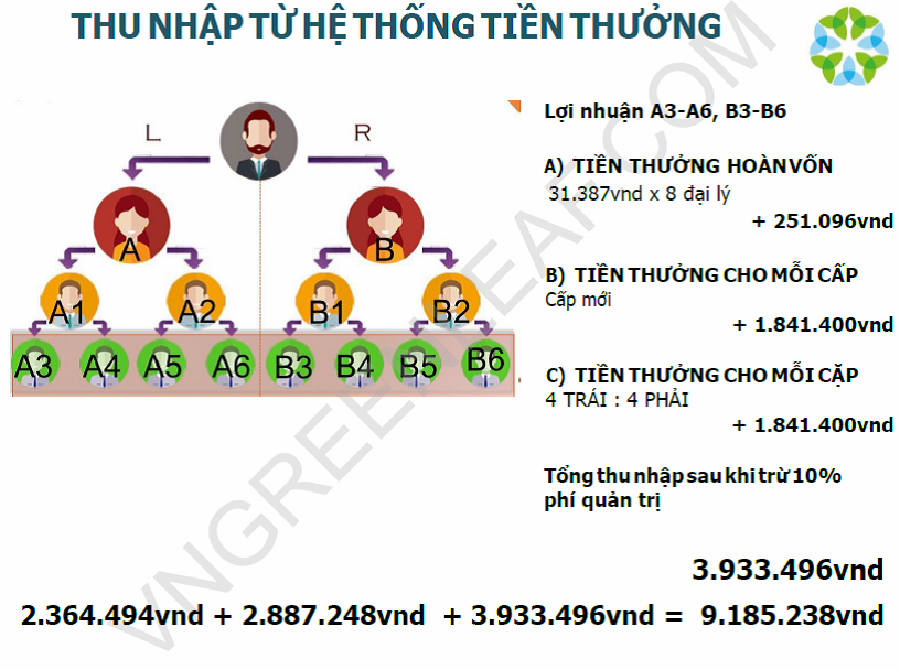 Bộ Công thương chưa cấp giấy chứng nhận đăng ký hoạt động bán hàng đa cấp cho tổ chức, đơn vị nào có tên Greenleaf hay greenleafgroup