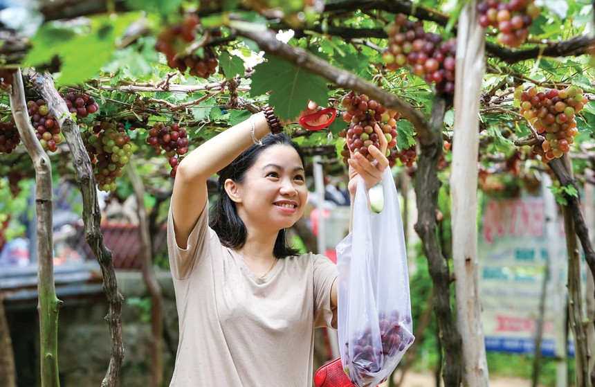 “Còi cọc” bất động sản nông nghiệp