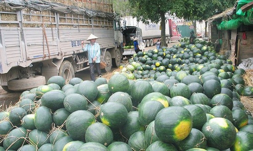 Các địa phương như Lạng Sơn, Lào Cai, Quảng Ninh, các doanh nghiệp, hiệp hội ngành hàng phải theo dõi chặt diễn biến xuất khẩu nông sản sang Trung Quốc dịp trước và sau Tết Nguyên đán.