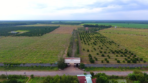 Nông trang Organic của Vinamit tại Phú Giáo, Bình Dương (ảnh doanh nông)