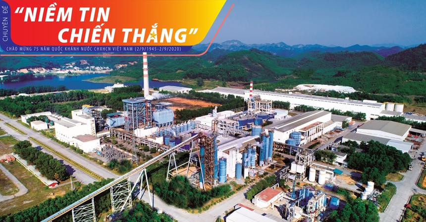 Giấy An Hòa không chỉ đầu tư công nghệ sản xuất hiện đại mà chú trọng tới việc phát triển vùng nguyên liệu giấy