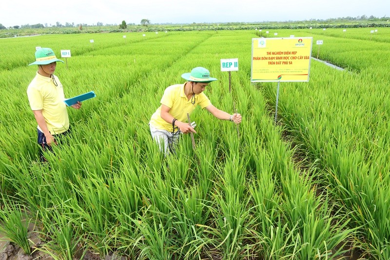 Đạm Cà Mau hoàn thành các chỉ tiêu sản xuất kinh doanh quý I