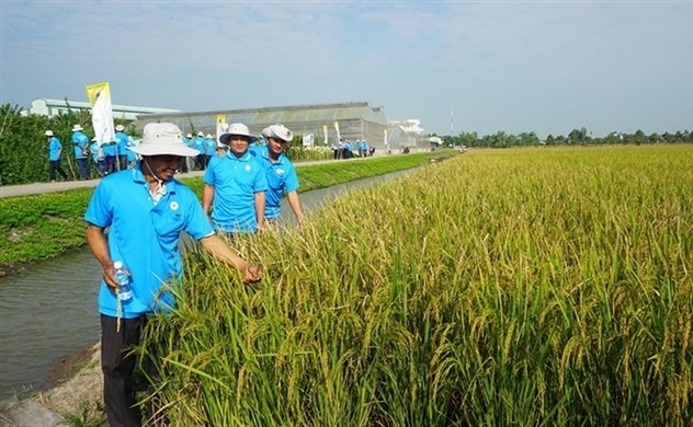 Lộc Trời chuyển biến mạnh trong quản trị hệ thống, phản ảnh dần vào hoạt động