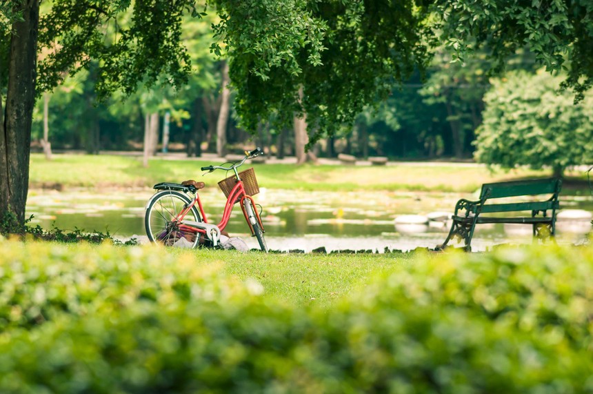 Không gian sống ngày càng được các "thượng đế" đề cao. Ảnh: Shutterstock.