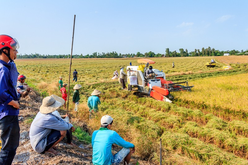 Tháo gỡ khó khăn về vốn cho doanh nghiệp vùng Đồng bằng sông Cửu Long 