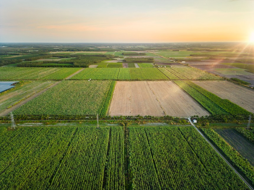 TTC AgriS tiên phong chuyển đổi mô hình kinh doanh, trở thành doanh nghiệp nông nghiệp công nghệ cao, tham gia sâu rộng vào chuỗi giá trị nông nghiệp toàn cầu