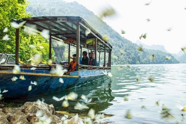 Ba Bể mùa bướm bay