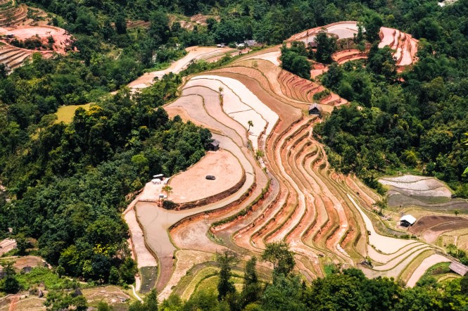 Mảng màu vàng của đất ruộng bậc thang giữa núi rừng - Ảnh: Hải Dương.