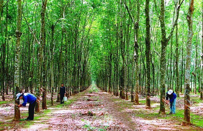 Cổ phiếu cần quan tâm ngày 8/3