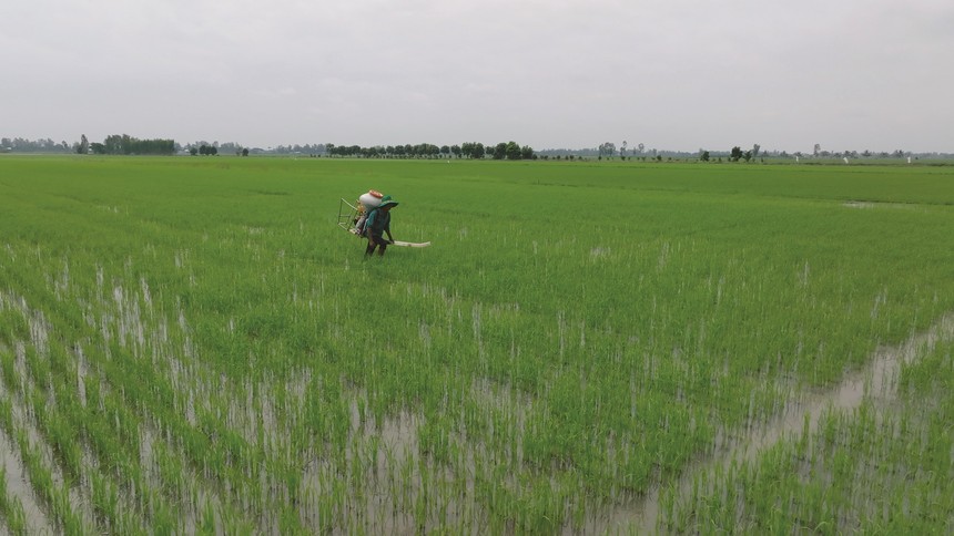 Lâu nay, lĩnh vực bất động sản nông nghiệp chưa được khai phá hết tiềm năng.