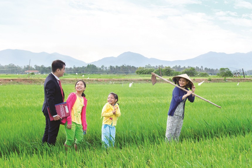 “Ngành ngân hàng cho vay không giới hạn trong chuỗi liên kết một triệu ha lúa chất lượng cao”