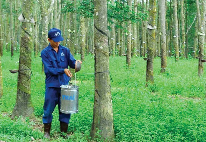 TRC thoái vốn tại Công ty Đầu tư hạ tầng VRG