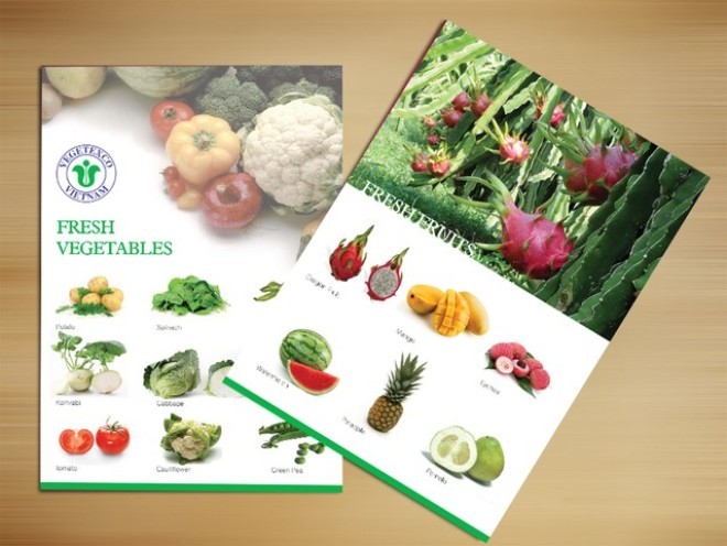 IPO Công ty mẹ Vegetexco thu hơn 278 tỷ đồng