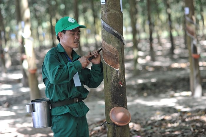 Cổ phiếu cần quan tâm ngày 7/12