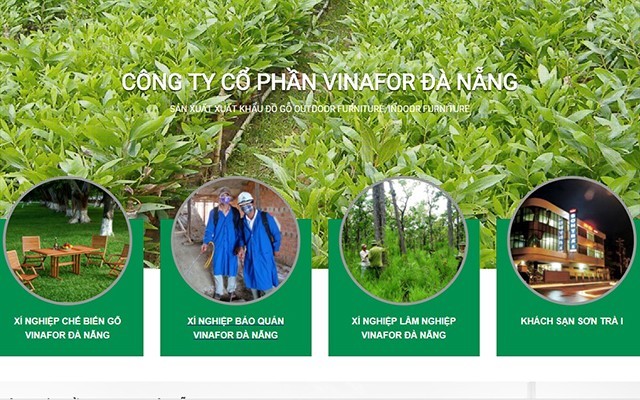 Vinafor Đà Nẵng bị phạt 60 triệu đồng