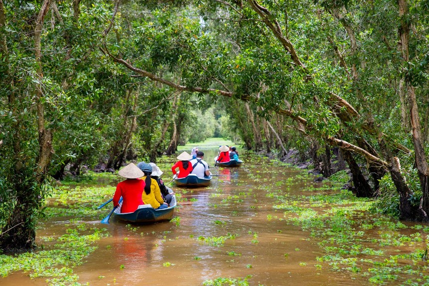 Rừng Tràm Trà Sư - Nơi hòa quyện tình yêu giữa con người và thiên nhiên