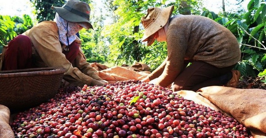 Thị trường hàng hóa tuần từ 1/4 - 6/4: Nông sản được mùa, cà phê xuống giá