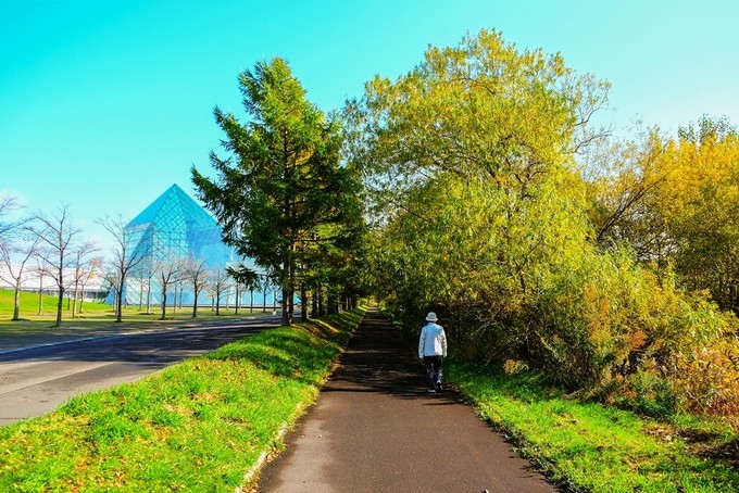 Mùa thu ở Hokkaido qua ống kính du khách Việt