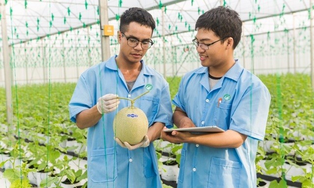 NSC đang là một trong những doanh nghiệp tốt nhất trên sàn chứng khoán Việt Nam.