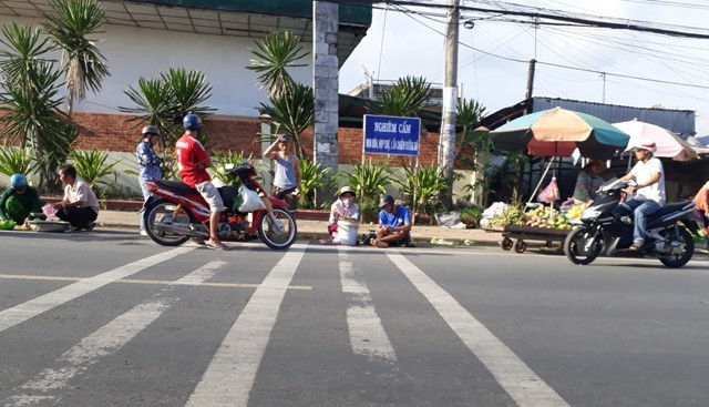 Dù có bảng cấm nhưng tình trạng chợ mua bán vẫn "mọc" lên ở một số tuyến đường trên địa bàn TP Cà Mau, vi phạm hàng lang an toàn đường bộ. (Ảnh: CTV).