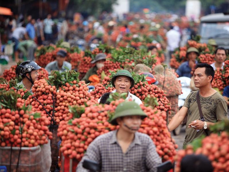 Việc tìm kiếm, phát triển thị trường xuất khẩu mới là một giải pháp quan trọng để ứng phó với thách thức của chủ nghĩa bảo hộ mậu dịch hiện nay. Ảnh: Đức Thanh.