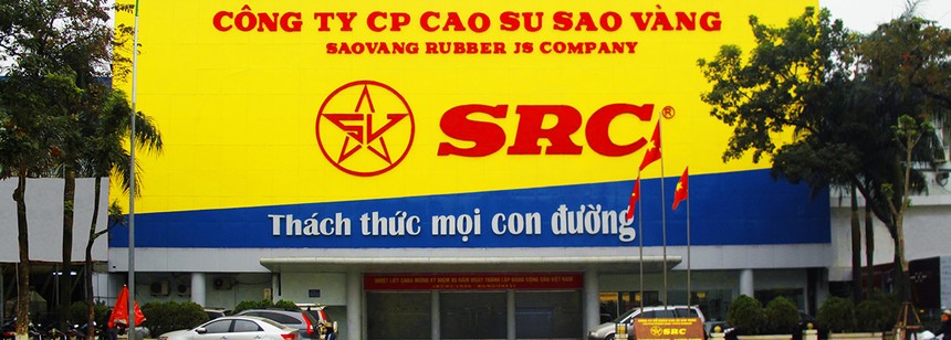 Thoái vốn Cao su Sao Vàng (SRC): Sức hút của “đất vàng”