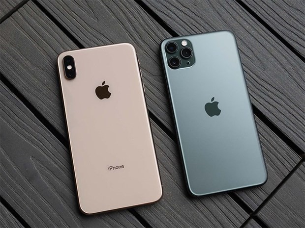 Dòng iPhone 11 của Apple. (Nguồn: AP).