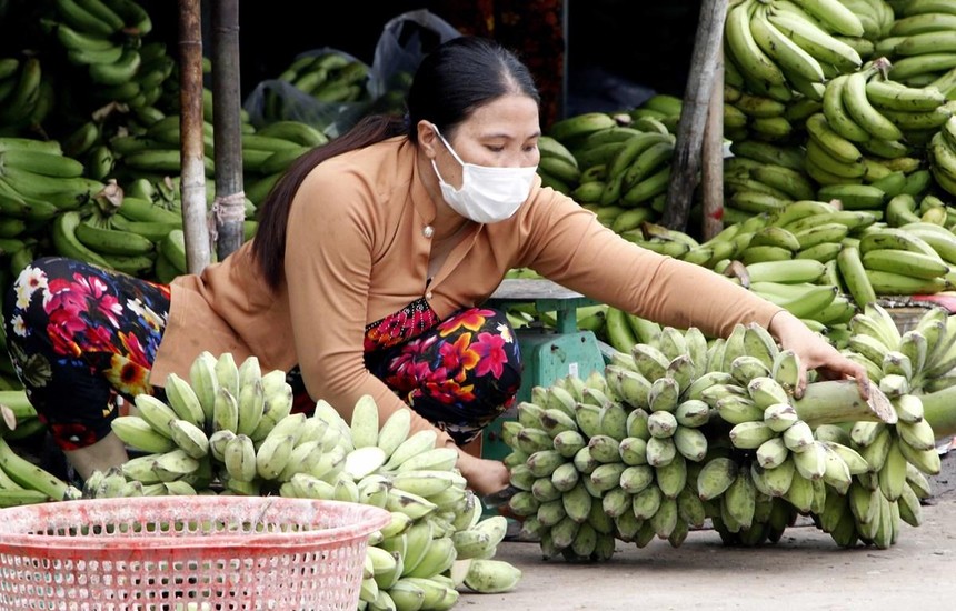 Tiểu thương tại Chợ phường 7, thành phố Cà Mau thực hiện mang khẩu trang để phòng, chống dịch COVID-19. (Ảnh: Kim Há/TTXVN).