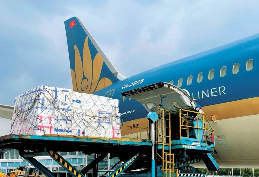 Để có nguồn thu, các tàu thân rộng của Vietnam Airlines đều được tháo ghế để chở hàng.