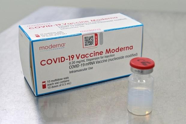 Vaccine ngừa COVID-19 của Moderna. (Ảnh: AFP/TTXVN).