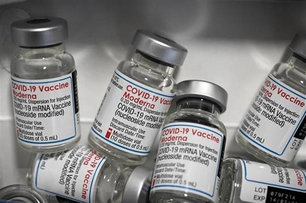 Vaccine ngừa COVID-19 của Hãng dược phẩm Moderna. (Ảnh: AFP/TTXVN)