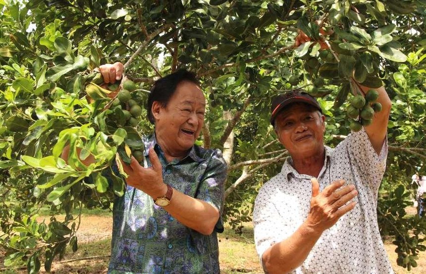 PGS.TS Nguyễn Lân Hùng ngỡ ngàng trước vườn cây mắc ca sai trĩu quả của ông Đặng Văn Khánh (Vĩnh Sơn, Vĩnh Thạnh, Bình Định)