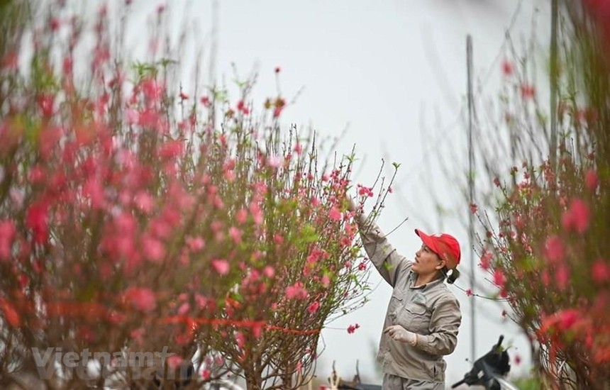 Bộ Lao động-Thương binh và Xã hội đề xuất nghỉ Tết Nguyên đán năm 2023 kéo dài 7 ngày. (Ảnh minh hoạ: Minh Sơn/Vietnam+)