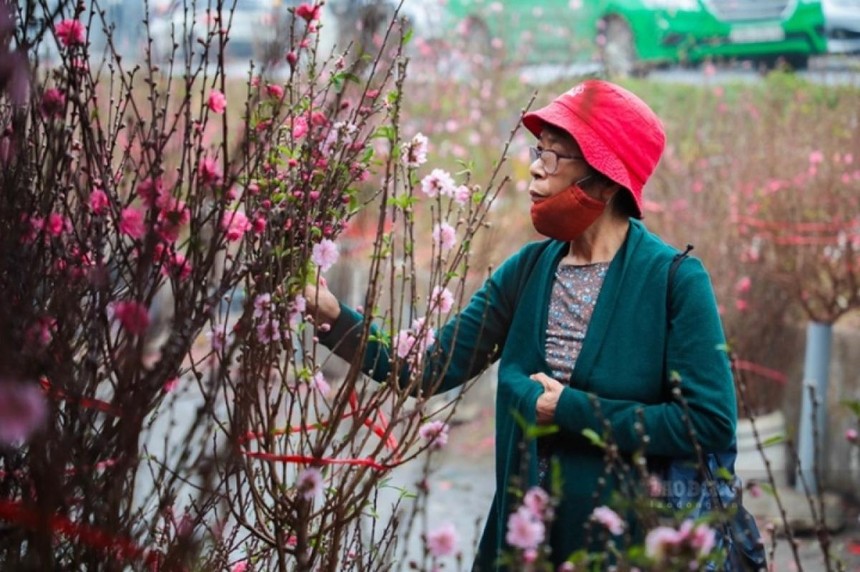 Bộ Lao động - Thương binh và Xã hội vừa trình Thủ tướng 2 phương án nghỉ Tết Nguyên đán 2023.