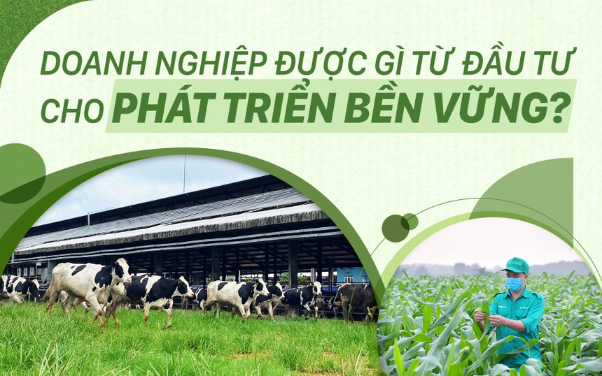 Doanh nghiệp được gì từ đầu tư cho phát triển bền vững?