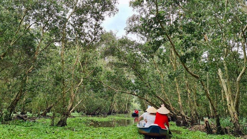 Rừng tràm Trà Sư (huyện Tịnh Biên, tỉnh An Giang) là một trong những điểm tham quan du lịch nổi tiếng của vùng Đồng bằng sông Cửu Long.