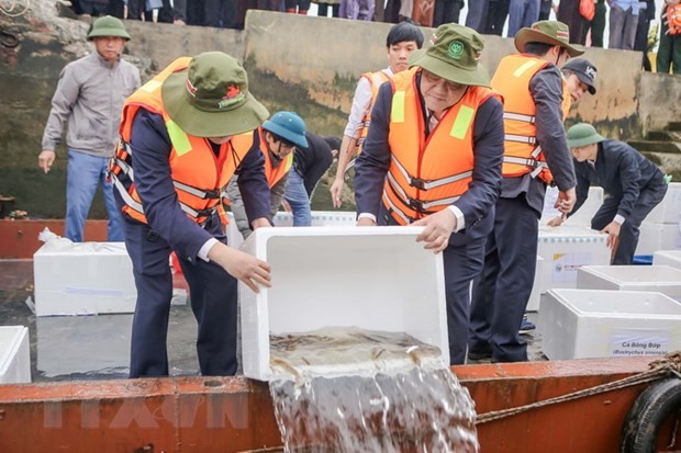 Các đại biểu thả cá giống xuống sông Hồng. (Ảnh: Công Luật/TTXVN).