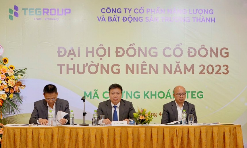 ĐHĐCĐ TEGroup (TEG): Lên kế hoạch lãi 111,47 tỷ đồng năm 2023, điều chỉnh kế hoạch tăng vốn