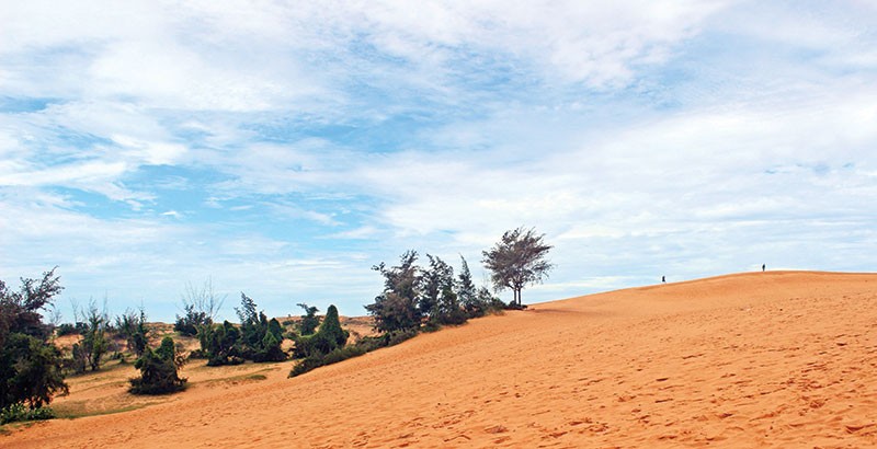 Đón nắng ở Mũi Né