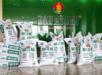 IPO Đạm Cà Mau, giá khởi điểm 12.000 đồng/CP