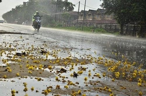 Cơn mưa rào kéo dài 20 phút ở Phúc Thọ chiều qua. Ảnh:Đoàn Tuấn.