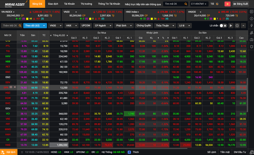 Bảng điện tử chỉ hiện 2 cột dư bán, trong khi bên dư mua trống không của mã OGC lúc 13h10 chiều 14/9.