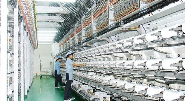 Sợi Thế Kỷ (STK) trả cổ tức 1.500 đồng cho cổ đông