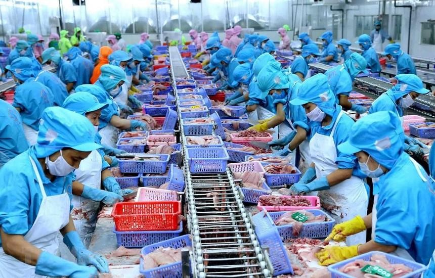 Nam Việt (ANV): Quý II/2021, lợi nhuận giảm 26,2% chủ yếu do chi phí bán hàng tăng cao