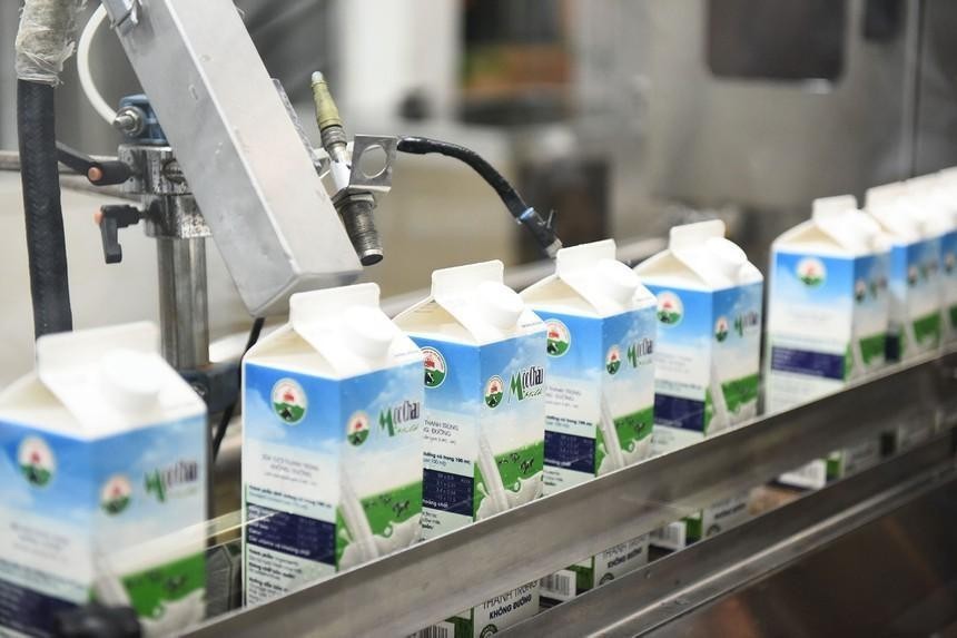 Giống bò sữa Mộc Châu (MCM) được chấp thuận niêm yết 110 triệu cổ phiếu trên sàn HOSE