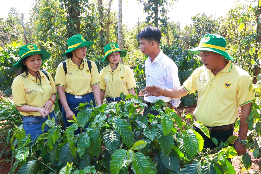 Phân bón Bình Điền (BFC) bị phạt và truy thu thuế hơn 2,6 tỷ đồng 