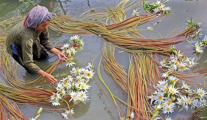 Sức mua hàng của phụ nữ tăng cao khi ngày càng nhiều phụ nữ tham gia thị trường lao động (ảnh minh họa)