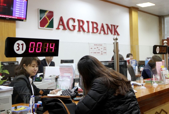 Agribank: Điểm tựa cho ngư dân “hồi sinh” sau sự cố môi trường biển