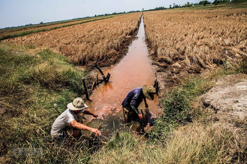 Ngành ngân hàng ủng hộ 15 tỷ đồng chống hạn hán, xâm nhập mặn