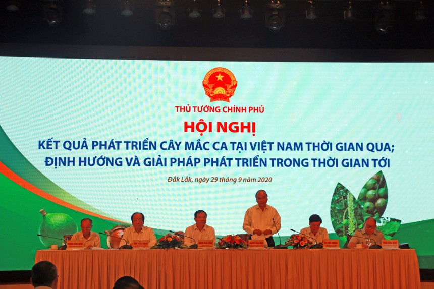 Hội nghị có sự tham dự, chỉ đạo của Thủ tướng Chính phủ Nguyễn Xuân Phúc, sự có mặt của các Bộ, ban, ngành trung ương, địa phương và cộng đồng các doanh nghiệp, hộ gia đình tiêu biểu về trồng, chế biến, tiêu thụ sản phẩm Mắc ca. 